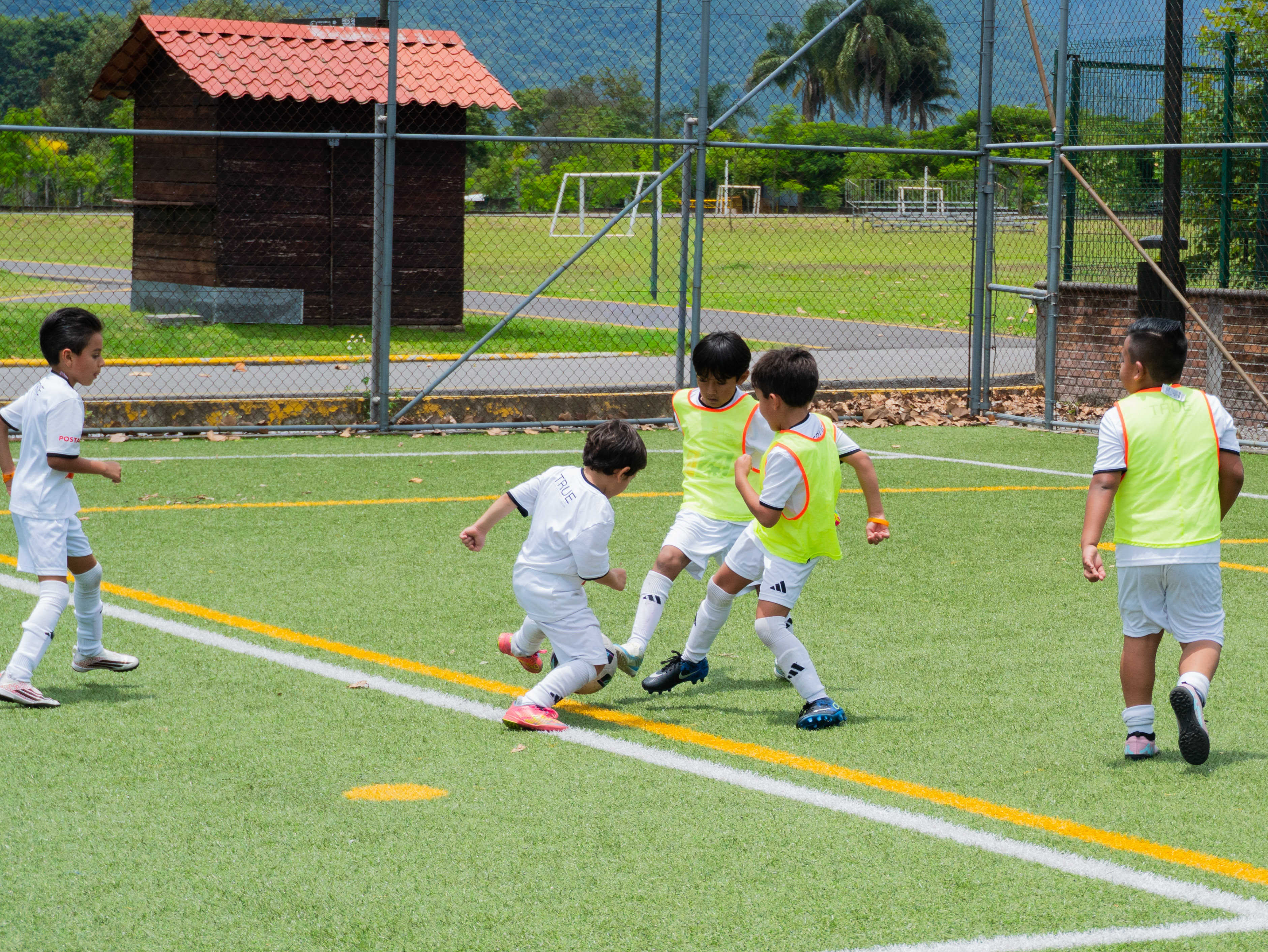 Semana de entrenamientos en Clinic Orizaba — foto 10